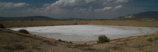 ADECUACIÓN DE LA BALSA DE LA ALCANARA PARA AVES ACUÁTICAS, ANFIBIOS Y ABEJARUCOS