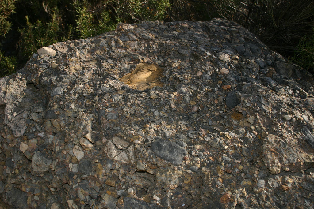 Roca sedimentaria