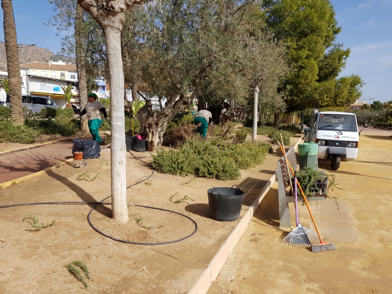 Trabajos de mantenimiento y mejora en el jardín de El Palmeral