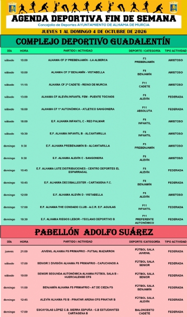 Descarga