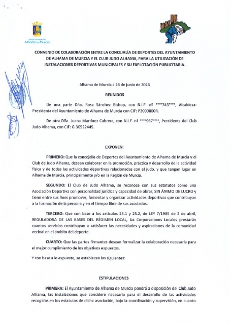 Descarga