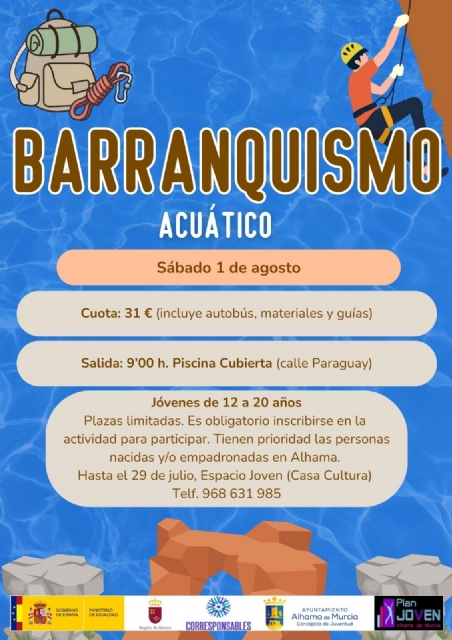 Descarga