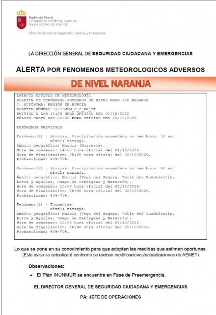 Descarga
