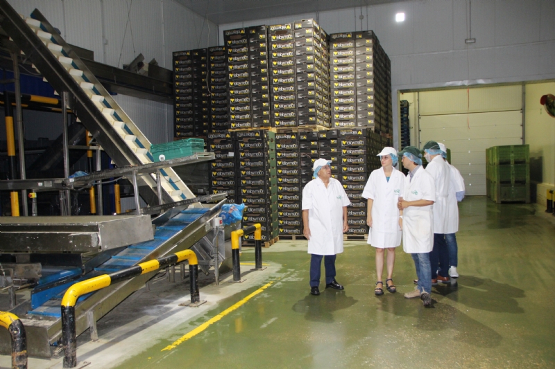 Kettle Produce Espaa prev ampliar sus instalaciones