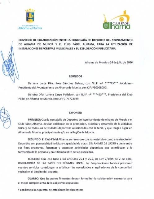Descarga
