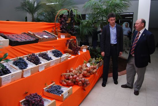 Gran variedad de productos en la Exposicin de Uva de Mesa y Productos Agrarios del Bajo Guadalentn