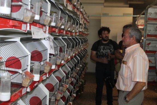 Unos mil ejemplares de pjaros se renen en la XVI Exposicin de Ornitologa Feria de Alhama 