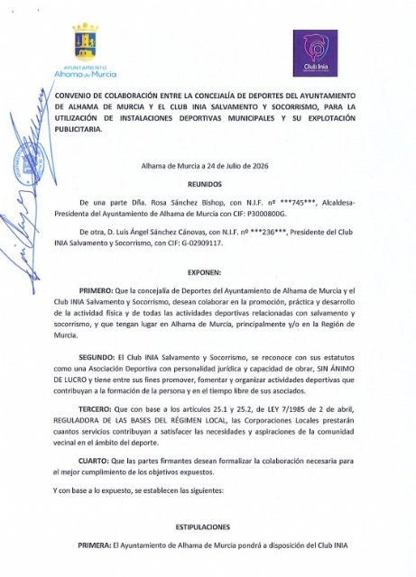 Descarga