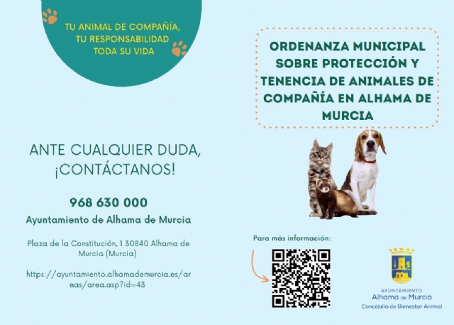 Descarga