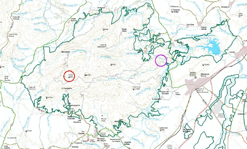 Restricciones de trnsito en el parque regional de Sierra Espua para conservar el guila Real