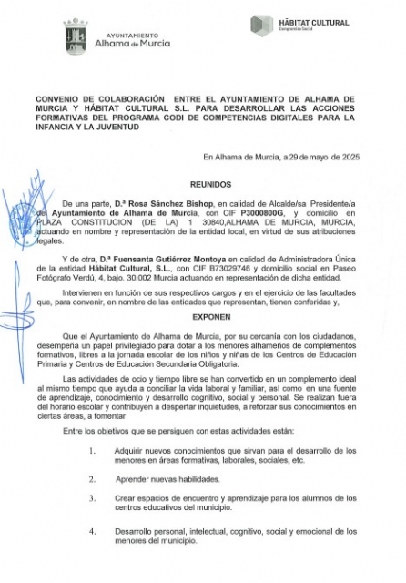 Descarga