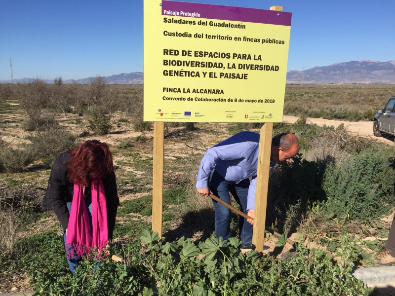 Nuevas seales en La Alcanara para resaltar su valor medioambiental y las acciones de recuperacin