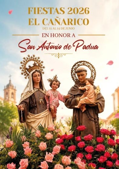 Descarga