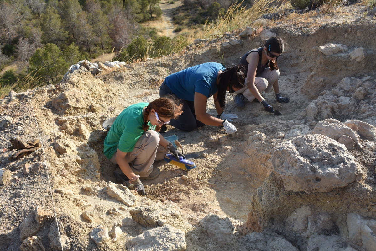 Arranca el campo de trabajo de arqueologa en Alhama con excavaciones en el Cabecico Redondo y Las Paleras