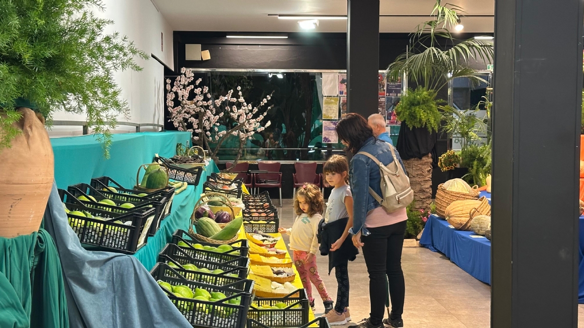 Alhama de Murcia celebra la 57 edicin del Concurso de Uva de Mesa y Productos Agrarios del Bajo Guadalentn