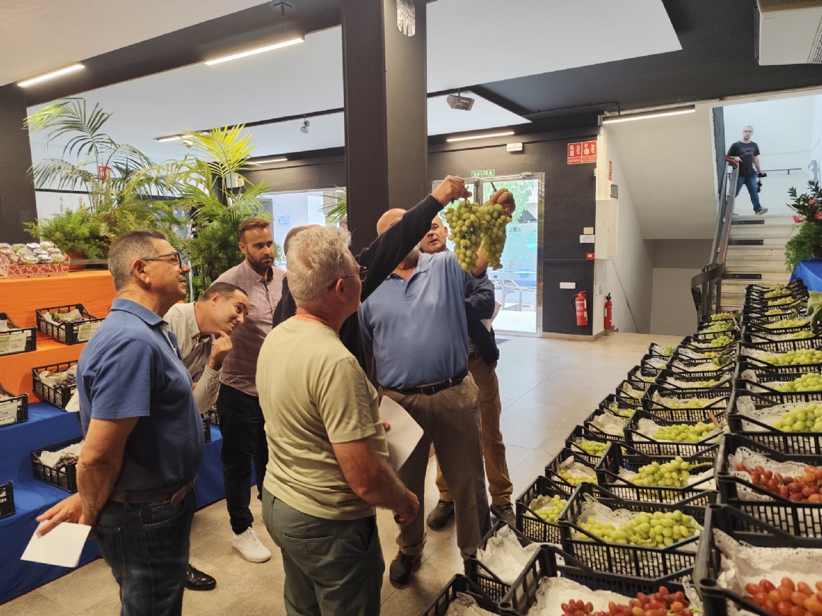 Alhama de Murcia celebra la 57 edicin del Concurso de Uva de Mesa y Productos Agrarios del Bajo Guadalentn