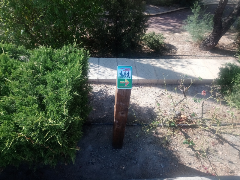 El Jardín de El Palmeral estrena un itinerario saludable de dos recorridos