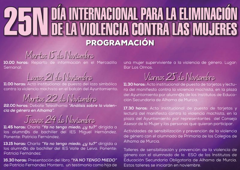 Actividades del 25N, Da Internacional contra la Violencia de Gnero
