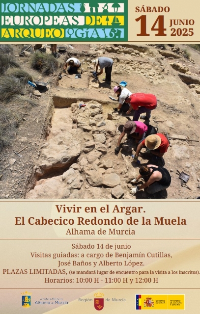 Descarga
