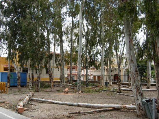 El Ayuntamiento sanea el arbolado de eucaliptos del Recinto Ferial