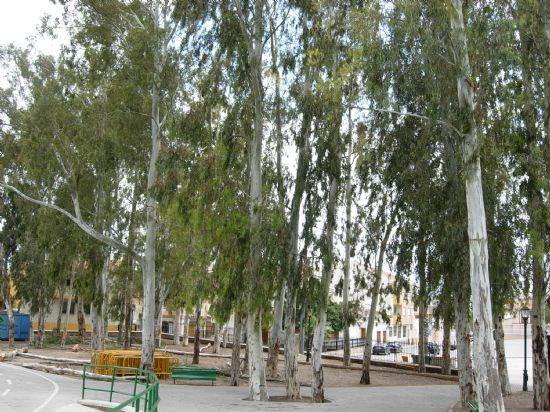El Ayuntamiento sanea el arbolado de eucaliptos del Recinto Ferial