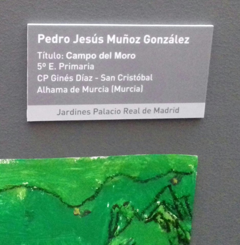 El artista alhameo Pedro Jess Muoz recibe en Madrid el reconocimiento de Patrimonio Nacional