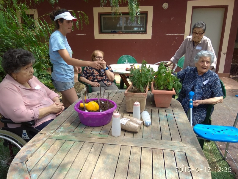 Los usuarios del centro de da de personas mayores visitan la Fundacin Cavalli