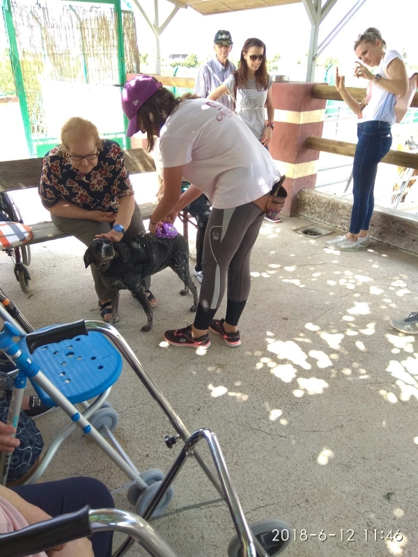 Los usuarios del centro de da de personas mayores visitan la Fundacin Cavalli