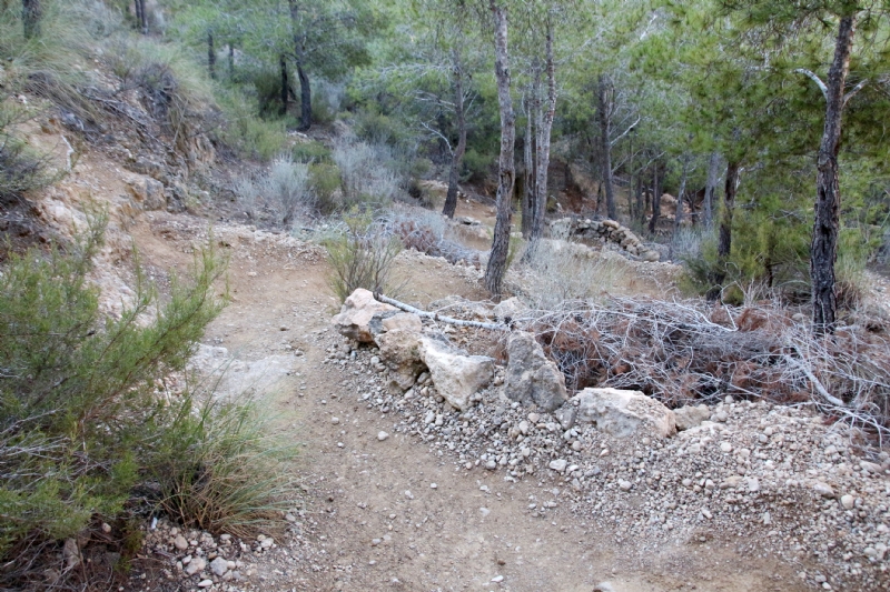 Los consejos comarcales trabajan en el mantenimiento de los senderos tradicionales de La Muela