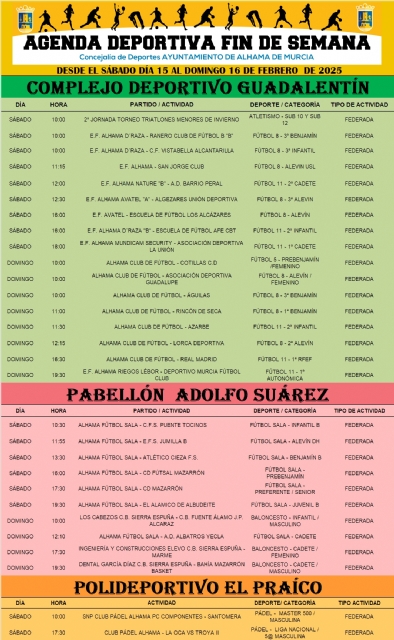 Descarga