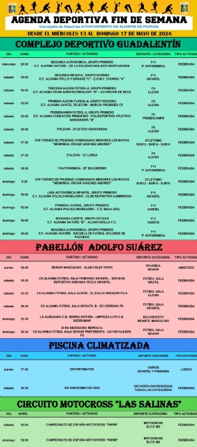 Descarga