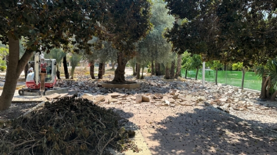 Avanzan las obras de renovación integral de la Plaza de la Constitución - 2