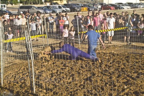 Numerosos vecinos participan en el concurso Atrapa al Cerdo Engrasado