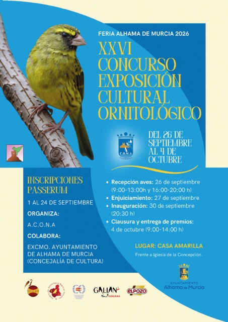 Descarga