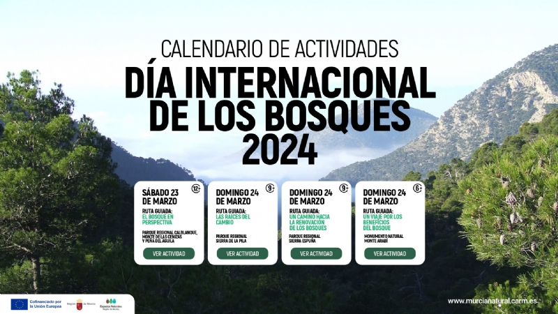 Actividades gratuitas por el Da Internacional de los Bosques 2024