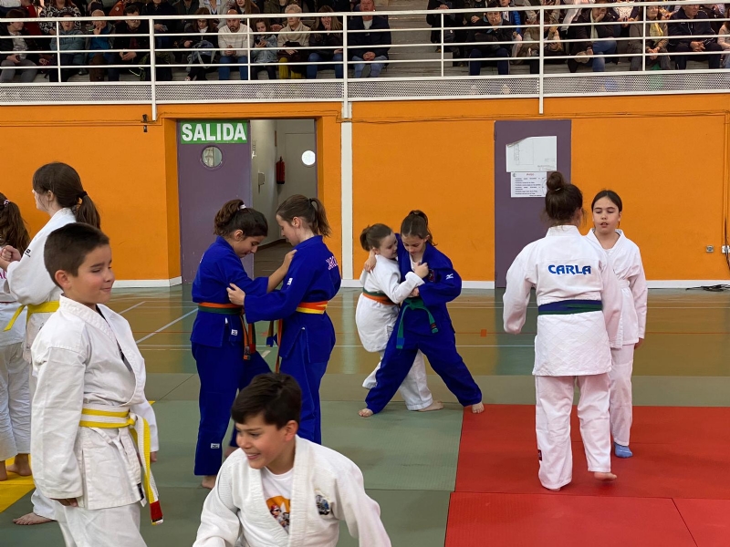 El club de judo de Alhama de Murcia obtiene magnficos resultados en Albacete y Alicante