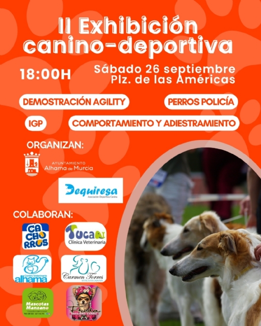 Descarga