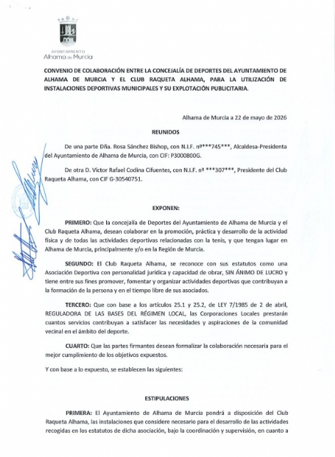 Descarga