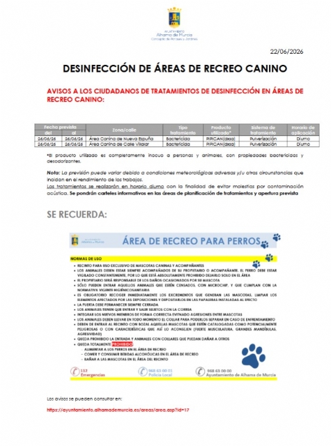 Descarga