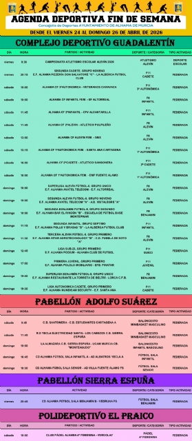 Descarga