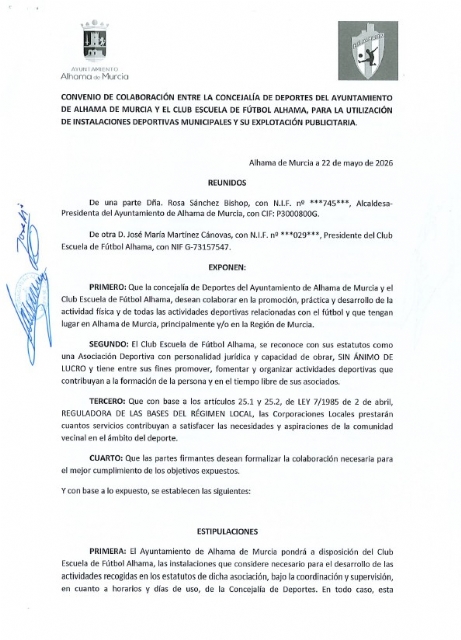 Descarga