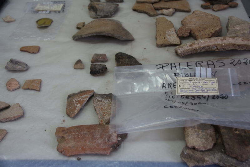 Finaliza el proyecto de ordenacin de materiales arqueolgicos con la clasificacin de unas 10.000 piezas