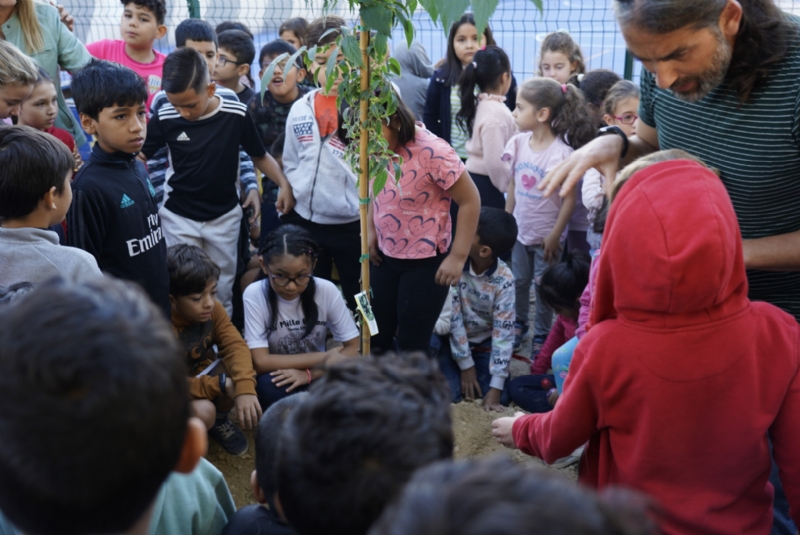 El CEIP Sierra Espuña celebra el centenario de Ricardo Codorníu con una plantación de árboles