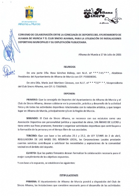 Descarga