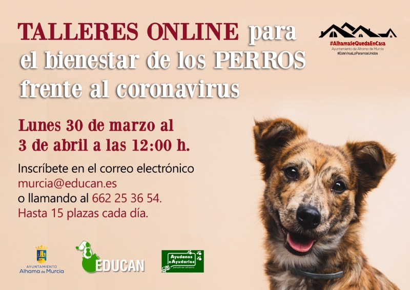 Educan imparte talleres online para mejorar el bienestar de los perros durante el confinamiento