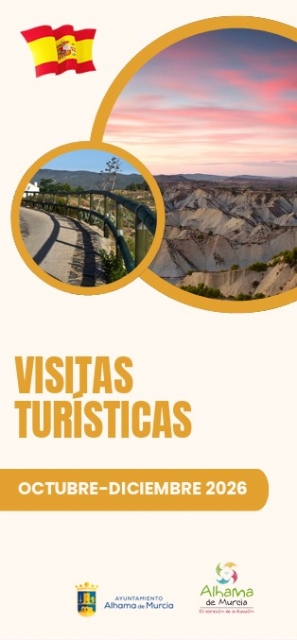 Descarga