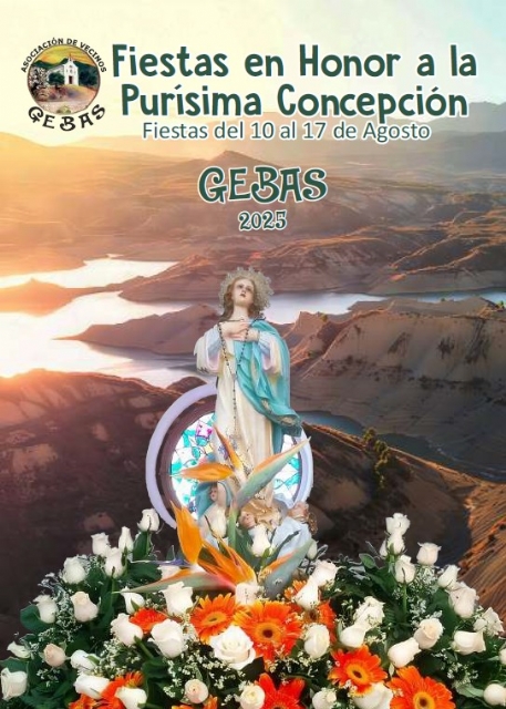 Descarga