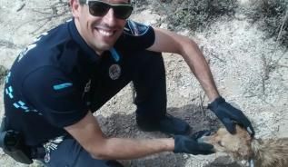 Bomberos y Polica Local rescatan a un perro en un pantano de Alhama 