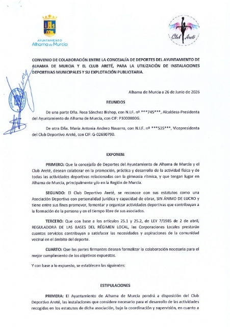 Descarga