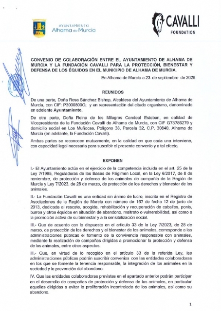Descarga